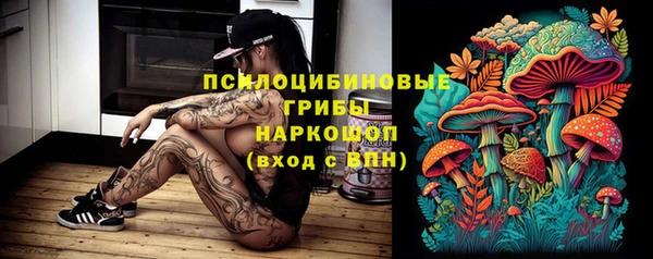 прущая мука Аркадак
