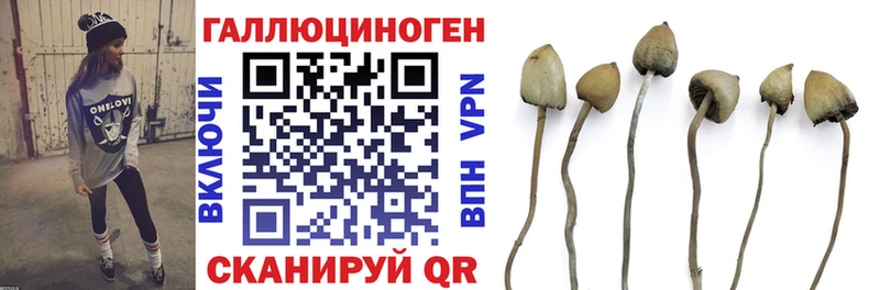 Псилоцибиновые грибы Psilocybe  это официальный сайт  Кирово-Чепецк 