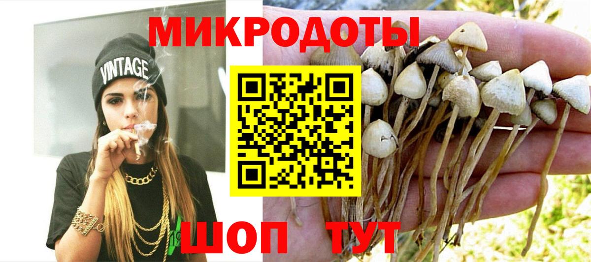 Псилоцибиновые грибы Psilocybe  Вход с VPN  Кирово-Чепецк 